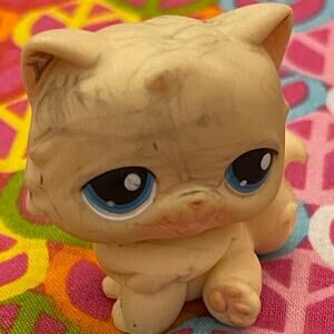 Hasbro 2007 Littlest Pet Shop Persian Cat Needs to be Cleaned Properly